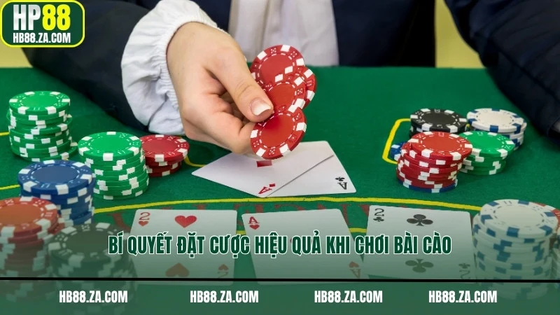 Bí quyết đặt cược hiệu quả khi chơi bài cào