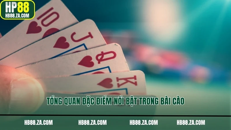 Tổng quan đặc điểm nổi bật trong bài cào
