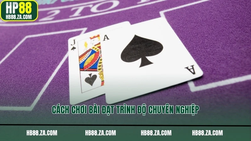 Cách chơi bài đạt trình độ chuyên nghiệp