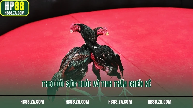 Theo dõi sức khỏe và tinh thần chiến kê