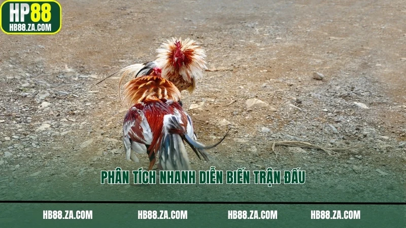 Phân tích nhanh diễn biến trận đấu