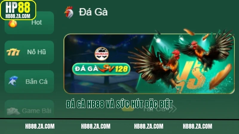 Đá gà HB88 và sức hút đặc biệt