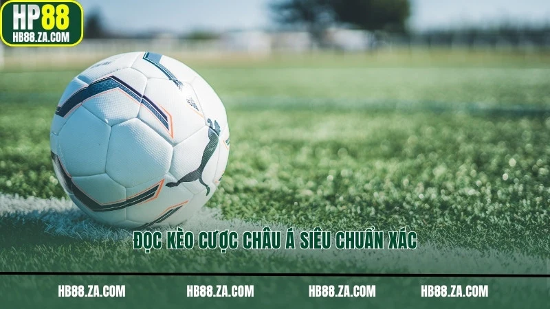 Đọc kèo cược châu Á siêu chuẩn xác