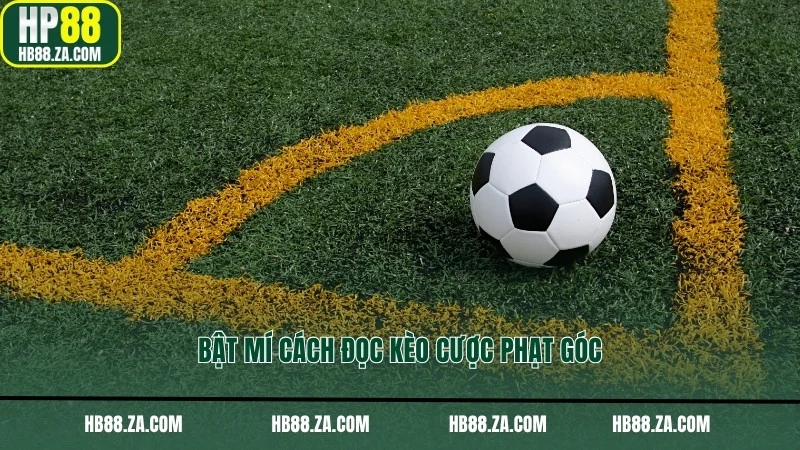 Bật mí cách đọc kèo cược phạt góc