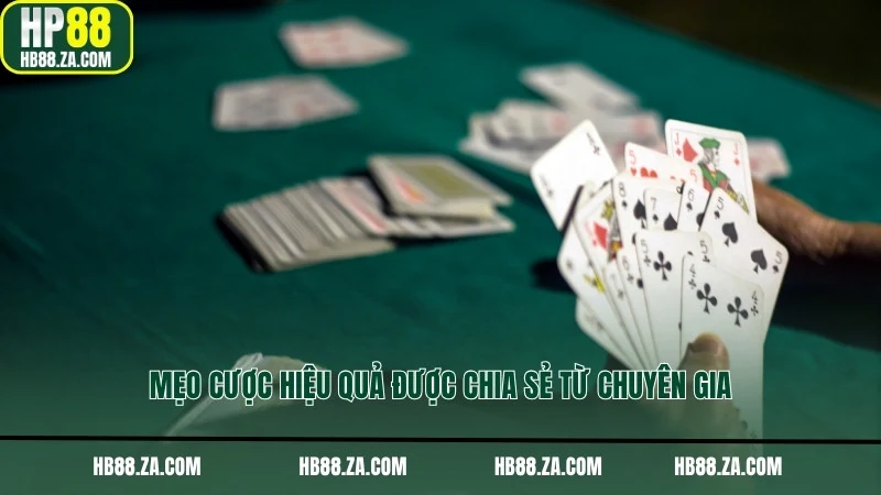 Mẹo cược hiệu quả được chia sẻ từ chuyên gia